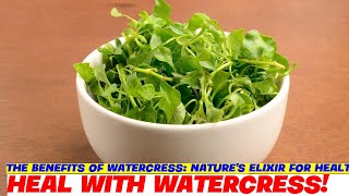 The Benefits of Watercress Natures Elixir for Health and Wellness [upl. by Gavrilla]