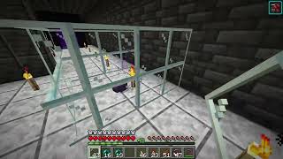 Endermite guide how to get your own permanent pet endermite  Minecraft 121 [upl. by Menashem550]