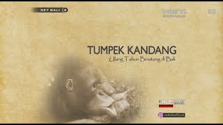 BALI STORY  TUMPEK KANDANG ULANG TAHUN BINATANG DI BALI NET BALI [upl. by Braasch61]