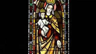 On This Day Our Lady of Mount Carmel [upl. by Annoyed970]