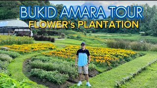 Flowers Plantation  Bukid Amara Tour 2024  Lucban Quezon Province  Plantita Ideas [upl. by Naesed422]