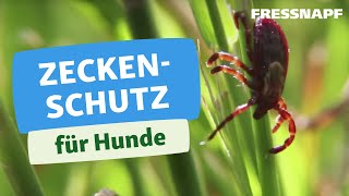 Zecken entfernen Hund  Gesundheit  FRESSNAPF [upl. by Finny]