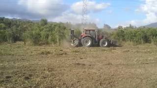 broyeur forestier avec valtra t203 direct [upl. by Eenwahs]