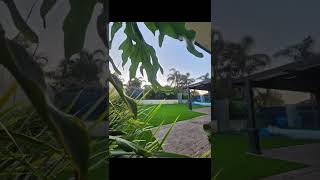 Stunning lawn installation jobs artificialturf tradie landscaper ytshorts homerenovation diy [upl. by Candi]