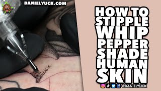 How To Stipple Whip Pepper ShadeTattooing 101 [upl. by Carlyle]