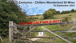 Centurion Chiltern Wonderland 50miles 2023  Will the calf hold out [upl. by Hansiain]