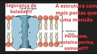 Aula 7  Biologia  Permeabilidade Seletiva na Membrana Plasmática Transporte Passivo [upl. by Ennaeiluj]