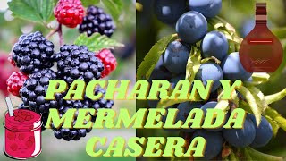 32 Como hacer PACHARÁN y MERMELADA 🫙 CASERA  How to make PACHARÁN and HOMEMADE JAM [upl. by Enenstein]