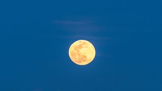 Live Take in the beauty of blue supermoon [upl. by Eleon]