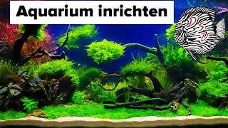 AQUARIUM INRICHTEN Aquascape als een professional   Aquarium Sunshine Valley [upl. by Eloisa]