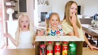 NEW GUESS THE DRINK Challenge With Lyla and Little Sisters [upl. by Aikal]