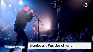 Blankass  quotPas des chiensquot en live pour le concert Backstage à Vierzon [upl. by Nawat]