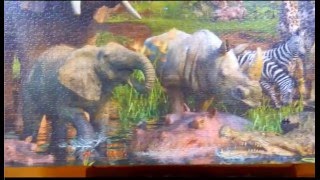 3000 Teile Ravensburger Puzzle Tiere an der Wasserstelle [upl. by Ahgiela]