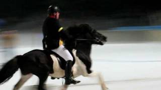 IceHorse2008 Berlin  flying pace [upl. by Llirrehs344]