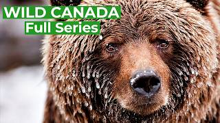 Wild Canada  Natures Untamed Beauty  Full Series  Free Documentary Nature [upl. by Issor]