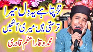 Tadapta hai ye dil Mera naat  Nahi Hai koi Duniya Mein Hamara  by Waqar Azam Qadri [upl. by Yerg]