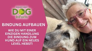 Wie du mit einer einzigen Handlung die Bindung zum Hund auf ein neues Level hebst [upl. by Nylyrehc]