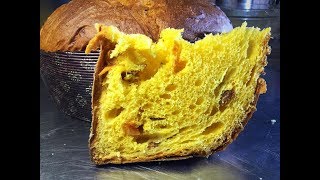 Panettone agrumi ricetta Maestro Alfonso Pepe  Primo impasto lievito madre [upl. by Erlina]