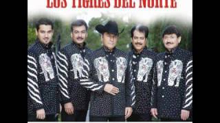 Al Mil Por Uno  Los Tigres Del Norte [upl. by Florida747]