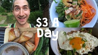 How To Eat Incredibly Well on 3 a Day [upl. by Ecydnac]