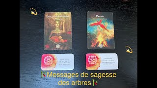 💫 Puissants messages de Sagesse des Arbres🌟 Renaissance ☀️ Guidance intemporelle amp Canalisations🌟 [upl. by Camala357]