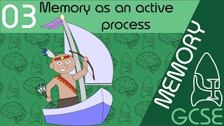 Memory as an active process  Memory GCSE Psychology AQA [upl. by Yancy827]