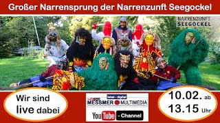 Großer Narrensprung der NZ Seegockel Friedrichshafen [upl. by Lebama]