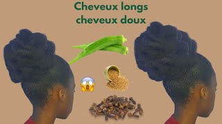 LOTION NATURELLE POUR DES CHEVEUX DOUX ET LONGS [upl. by Misha918]