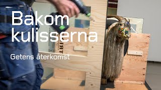 Getens återkomst  Bakom kulisserna  Robert Rauschenberg Monogram [upl. by Jae]