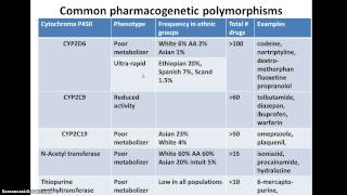 genetic polymorphisms and drug metabolism [upl. by Nilyahs68]