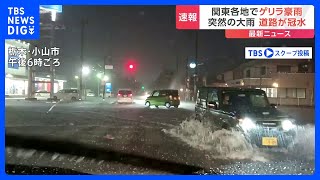 埼玉県・栃木県などでゲリラ豪雨が発生 一部で大雨警報も 叩きつけるような大雨で道路が冠水も｜TBS NEWS DIG [upl. by Macario545]