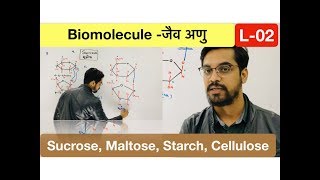 Biomolecule class 12 chemistry part 2 जैव अणु explained in hindi by ashish sir [upl. by Elag]