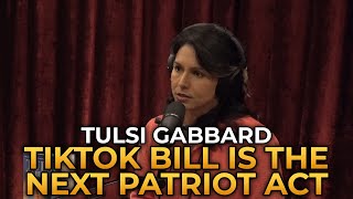 Tulsi Gabbard  The TikTok Bill Is the Next Patriot Act [upl. by Ailel]