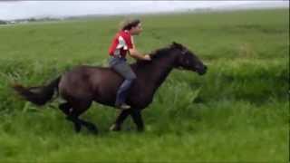 500m Bareback flatout gallop on Horse [upl. by Tiler]