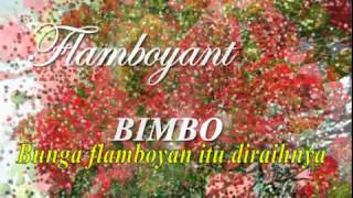 FLAMBOYANT Bimbo [upl. by Eillod]