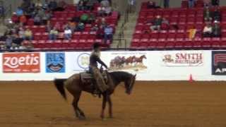 Wylene Wilson Davis  Mustang Million Reining [upl. by Magnuson]