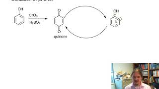 Oxidation of phenol [upl. by Tews426]