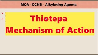 Thiotepa Mechanism of action [upl. by Irt]