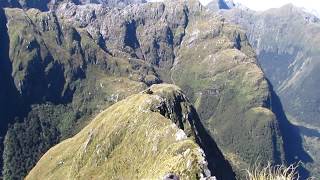 Wapiti River Hunting Trip  Fiordland Part 1 [upl. by Anaeel]