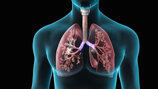 Spirometry  Test for Lung Function  Nucleus Health [upl. by Einhpad]