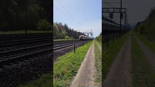 SBB Schnellzugsichtungen bei Buchs Rupperswil im Kanton Aargau [upl. by Gyasi890]