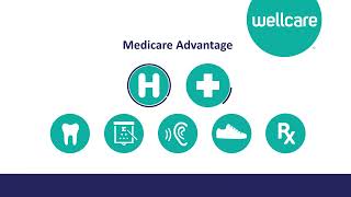 2023 WellCare Medicare advantage Sales Video English [upl. by Bottali]