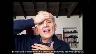 Peter Levine  2 Maneras para ayudar al paciente a sentirse seguro Subtitulado en Español [upl. by Nyrret]