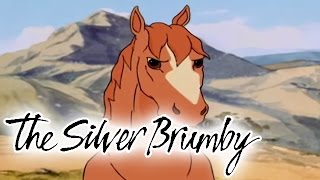 The Silver Brumby 104  Flight To Freedom HD  Full Episode [upl. by Dirgis876]