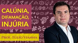 Calúnia Difamação e Injúria  Crimes Contra a Honra  Prof Túlio Vianna Direito Penal  UFMG [upl. by Asiela]