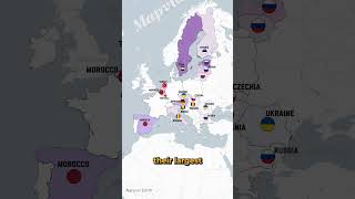 Which EU Countries Take the Most Migrants shorts fyp geopolitics statistics geography map [upl. by Limay]