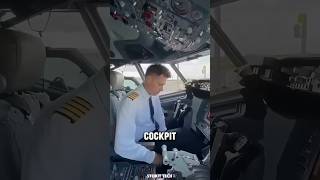 Why the Pilot’s Cockpit Is the Safest Place on a Plane [upl. by Umeko]