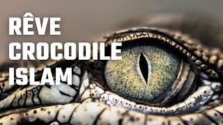 Rêve de crocodile selon lislam  interprétation et signification par CHEICK SOUALIO SALAH [upl. by Acquah]