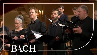 Bach  Cantata Herr gehe nicht ins Gericht BWV 105  Van Veldhoven  Netherlands Bach Society [upl. by Mattland46]