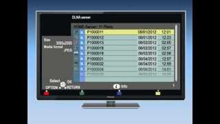 Panasonic VIERA  How to use DLNA and Media Player on your VIERA Television [upl. by Calondra]